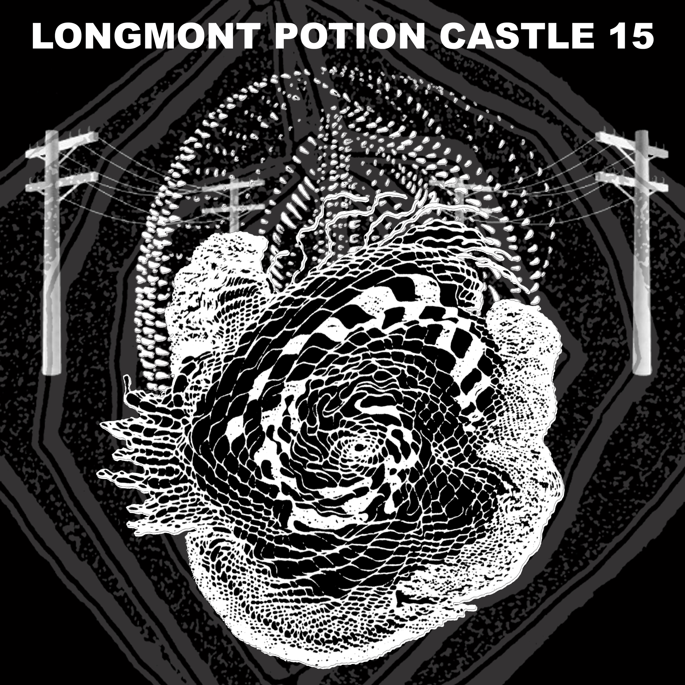 Longmont Potion Castle 15